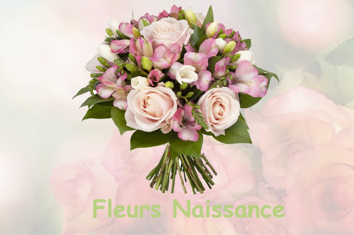 fleurs naissance LA-CLISSE